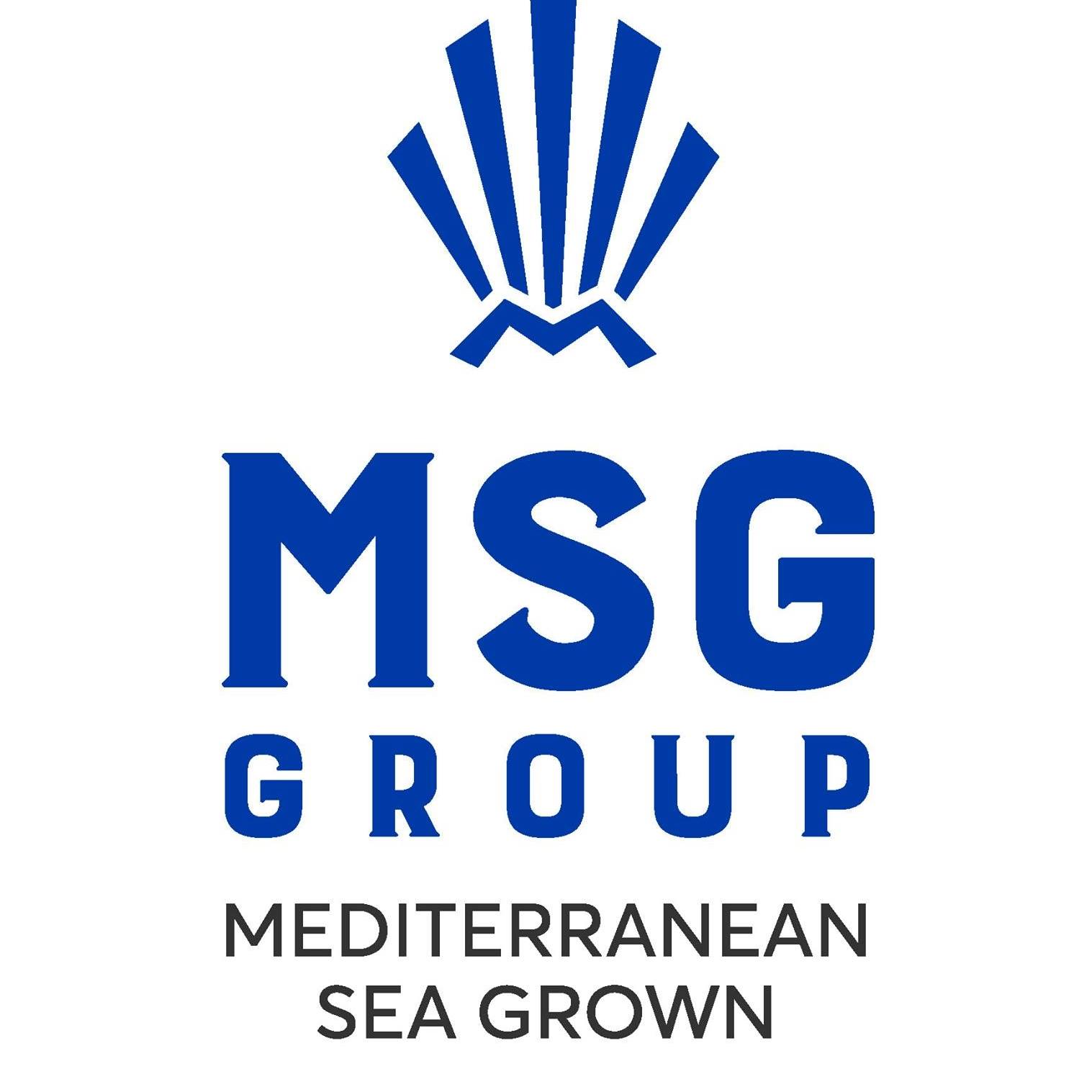 MSG Group